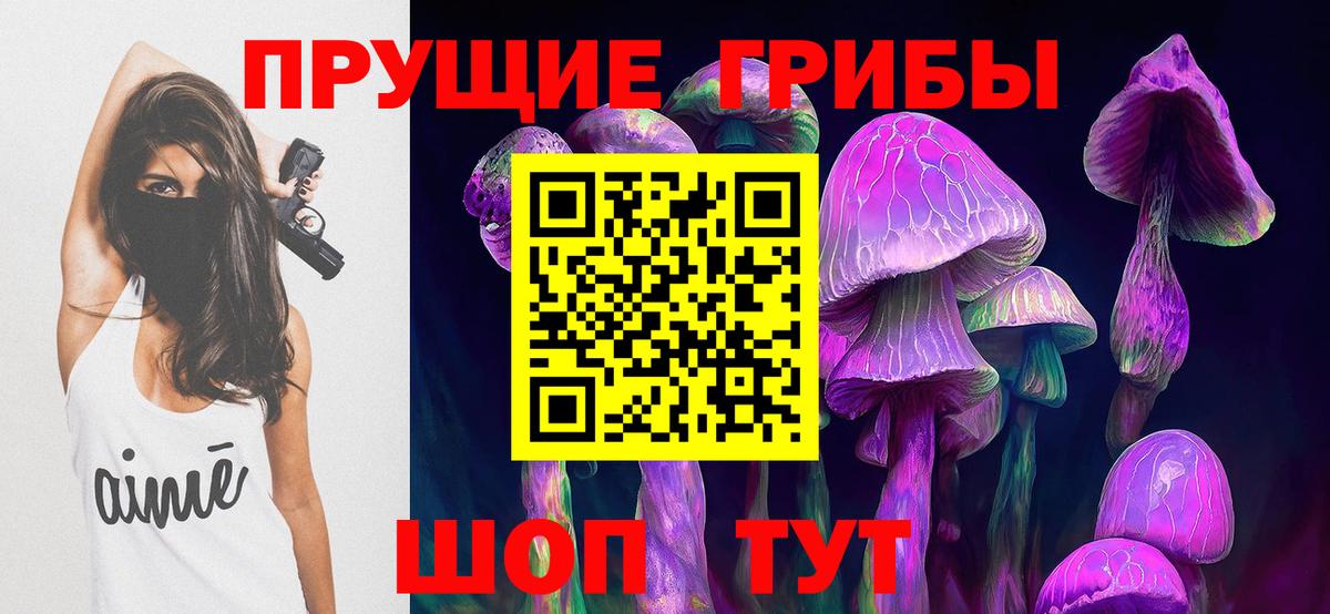Галлюциногенные грибы мицелий  Вход с VPN  Псилоцибиновые грибы прущие грибы  Кингисепп 